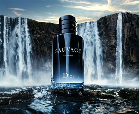 dior sauvage for office|sauvage eau forte Dior.